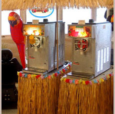 The Best Frozen Drink Machines